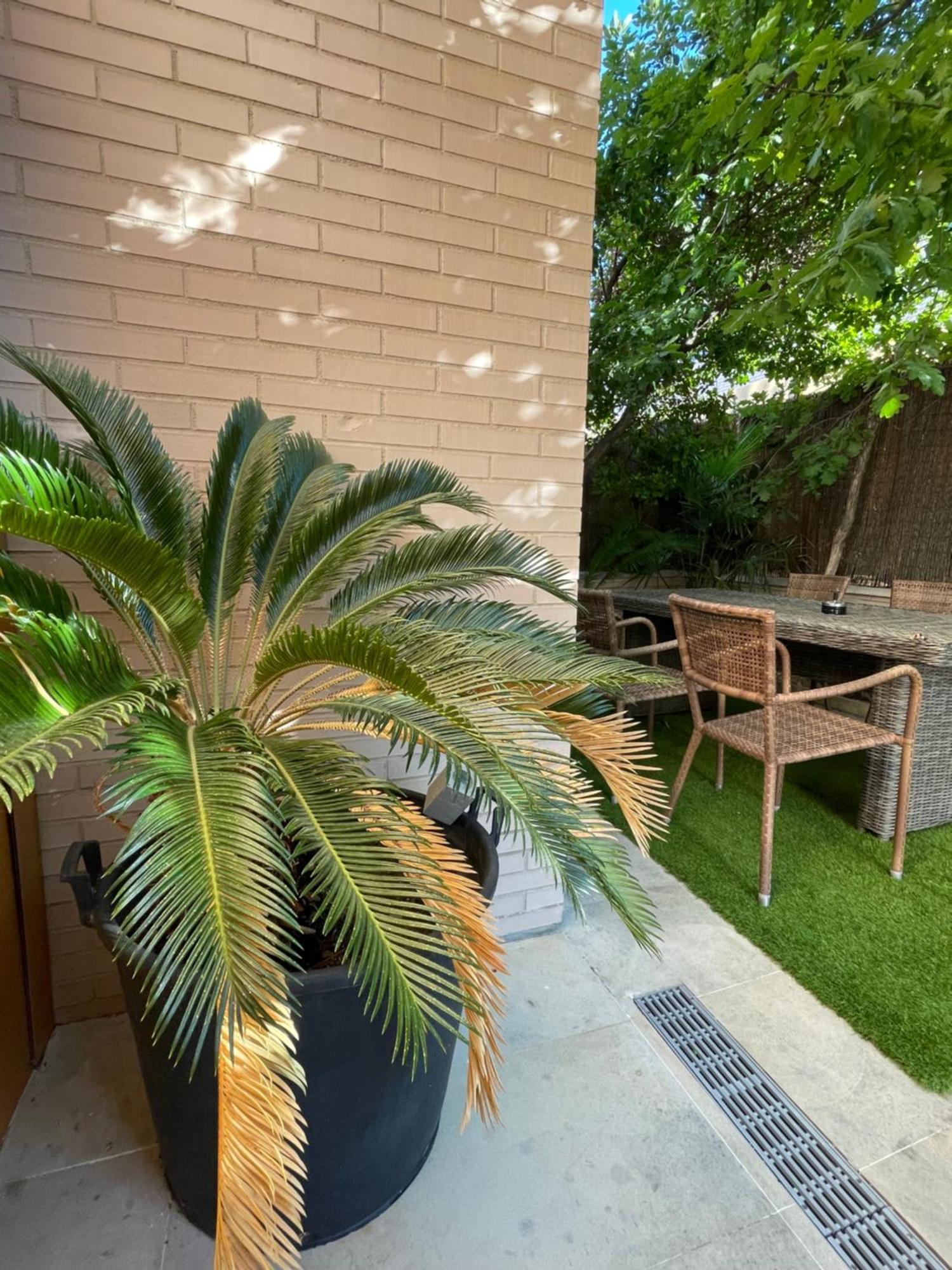 Valdevebas Chalet Con Piscina مدريد المظهر الخارجي الصورة